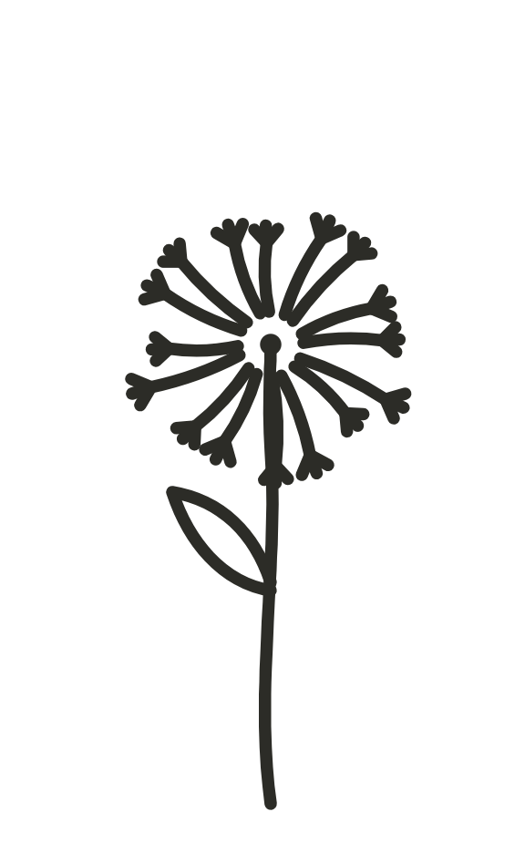 Wisely Spent Dandelion